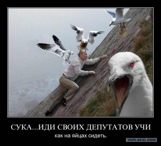 Путин с клювом в халате возглавил журавлиный клин