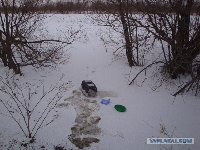 О людях - "нелюдях"!