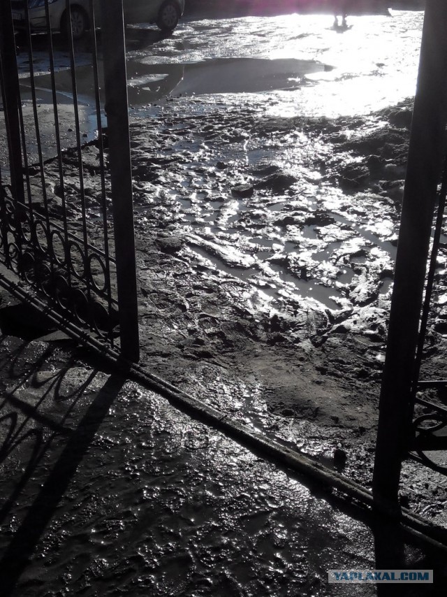 И тут я посмотрел на ноги