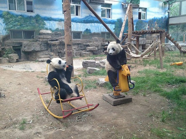 Для поднятия тонуса