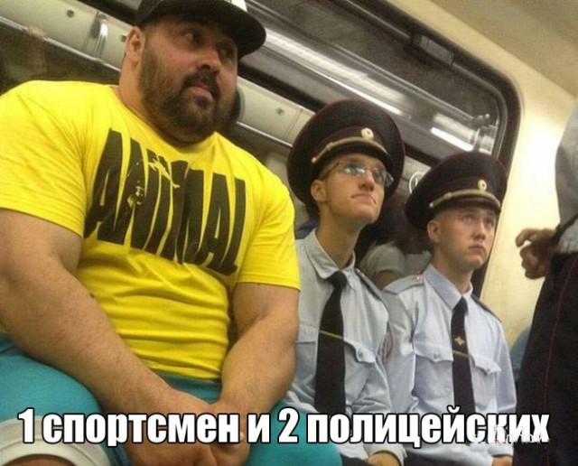 Картинки