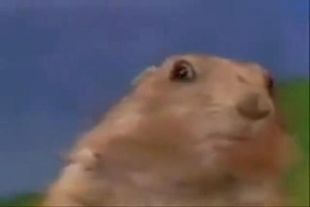 Зоопарк в Южной Африке