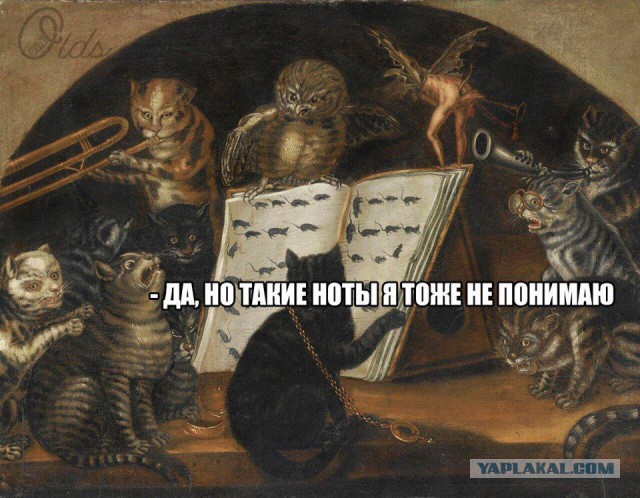Деградировать подано, дамы и господа!