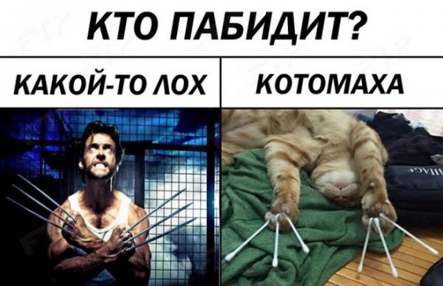 Подборка интересных и веселых картинок