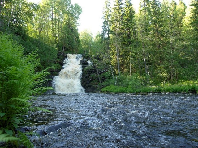 Просто Природа