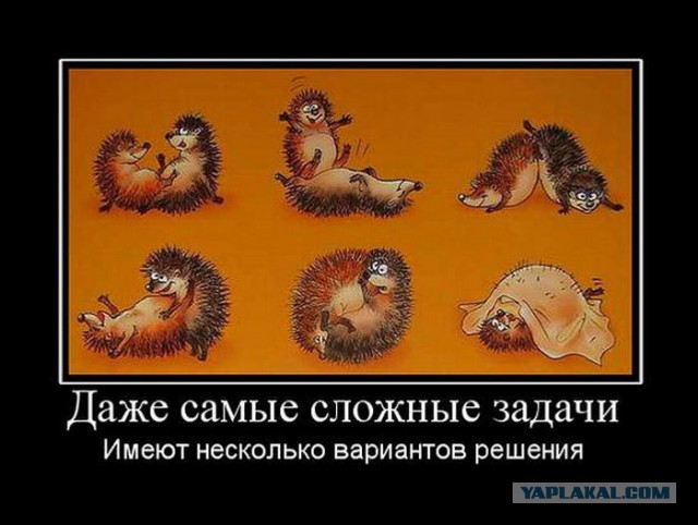 Британка повсюду таскает с собой своего сына — дохлого лисенка Иисуса