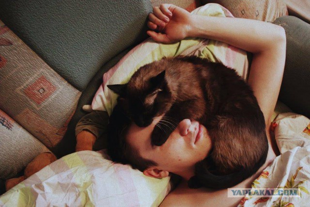 А как начался твой день?