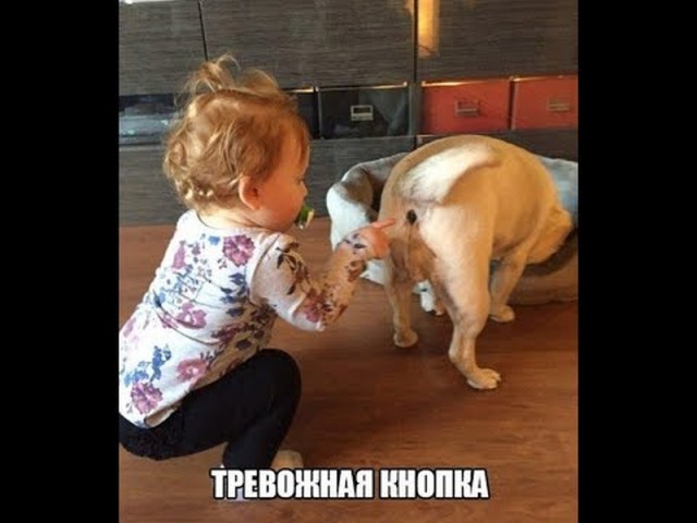 Картинки по-приколу