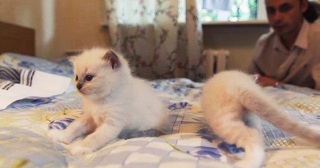 Немного милоты