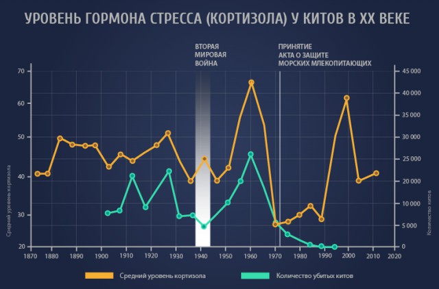 Вопрос - что это?
