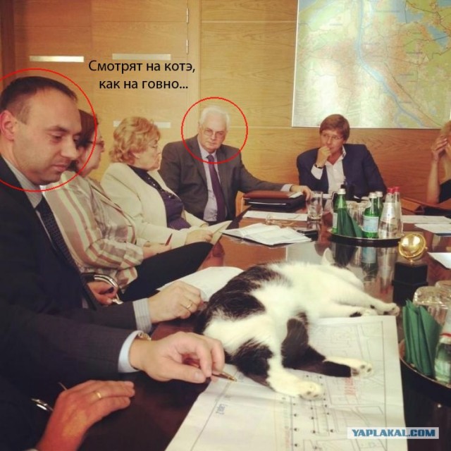 Скучные вы