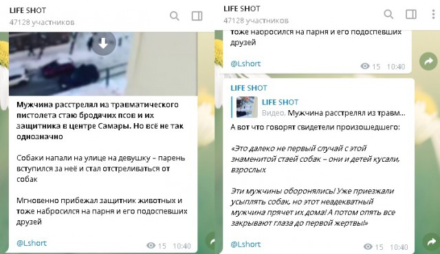 В Самаре стая бродячих собак напала на девушку, это увидели парни на машине и решили не проезжать мимо
