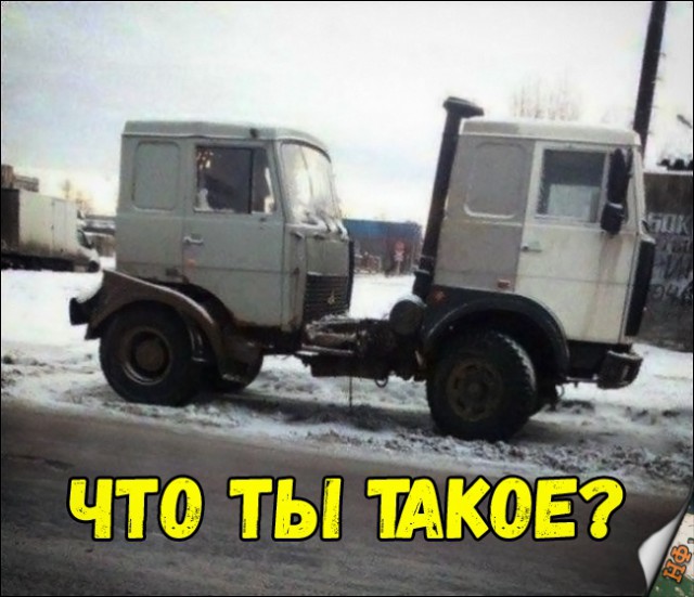 Прикольные картинки абавсём