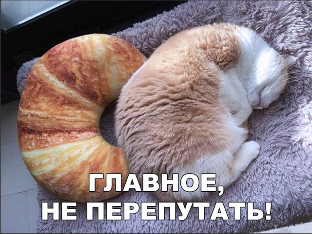 Нестандартный юмор