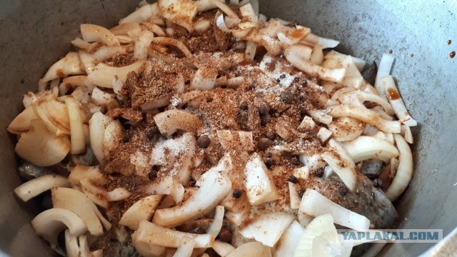 Караси и шпроты.