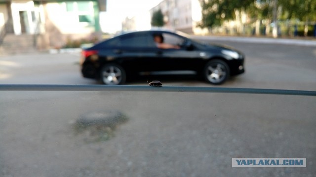 Сам себе фотограф