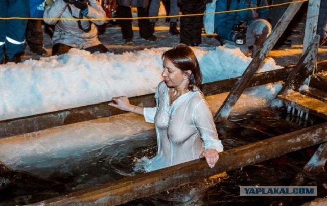 Нет мозгов у бабы