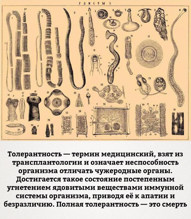 Грустная картина конца белого мира