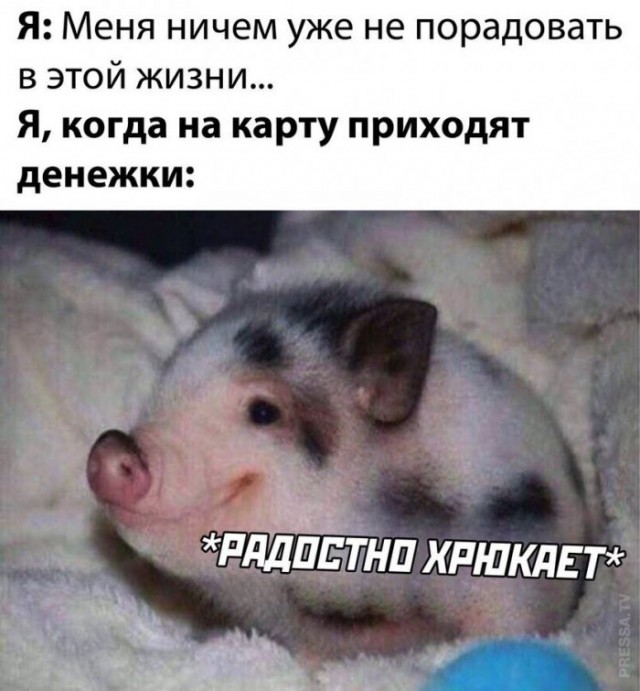 Немного картинок для настроения 19.09.20