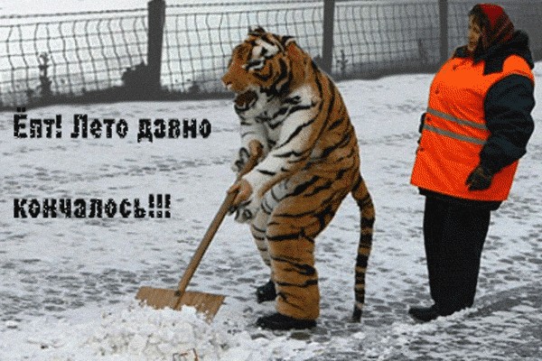 Битва фотожаберов: Лето кончилось