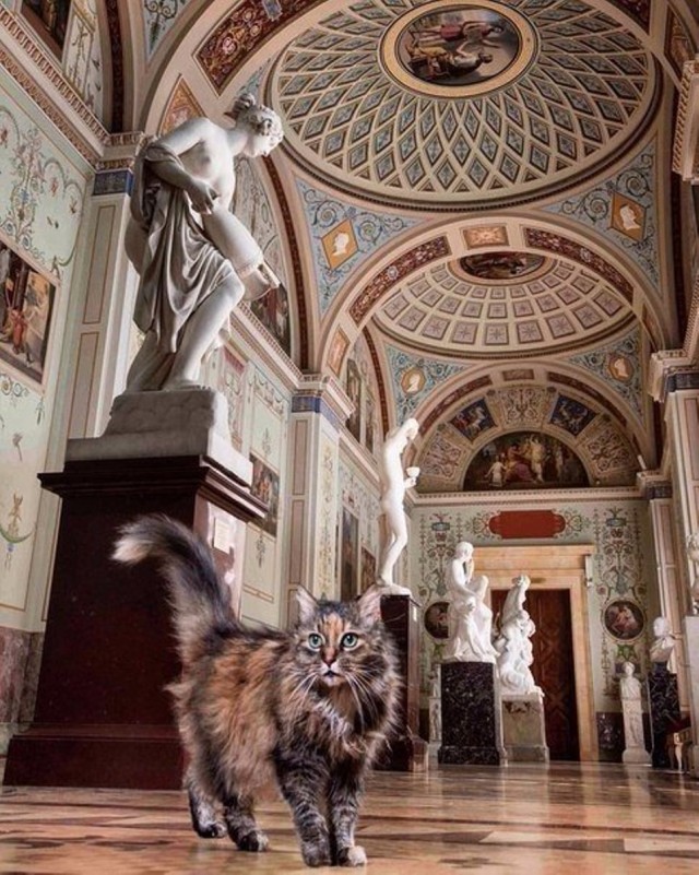 Глазки отдохните: подборка живности всякой