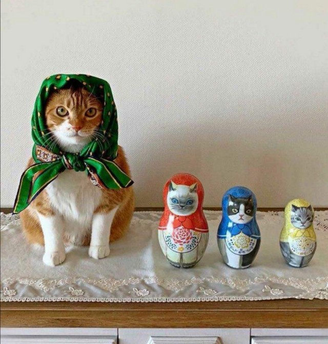 Подборка забавной живности