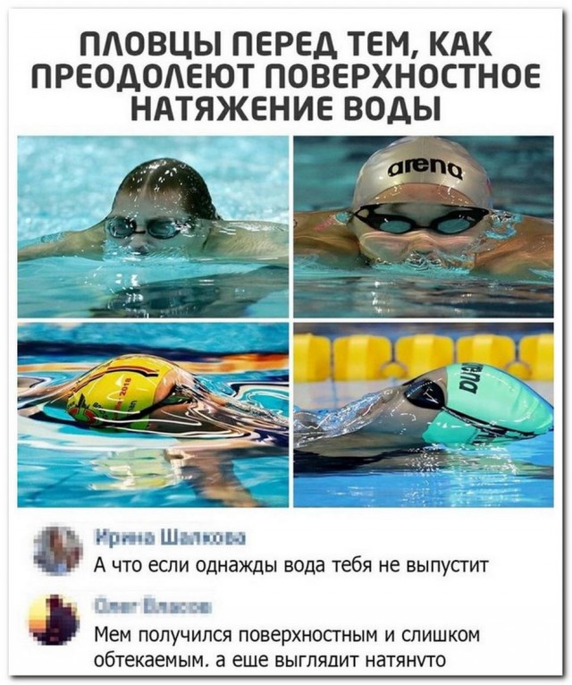 Боянистые картинки 26.12.20