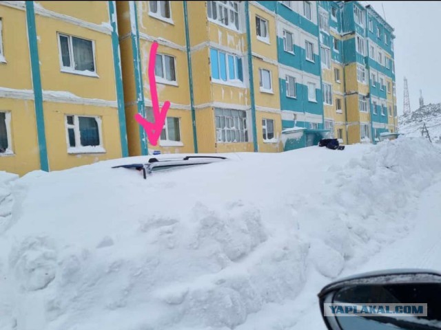 Эстетика е*еней