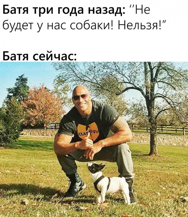 Картинки и мемы для настроения 12.07.2021