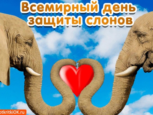 Абсолютное счастье