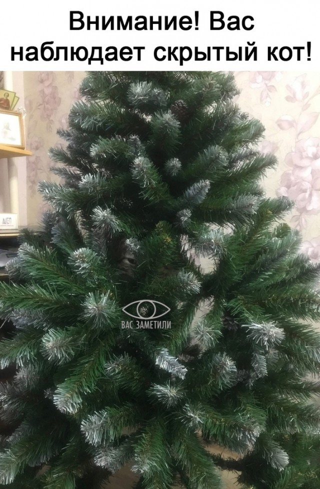 Так себе картинки 31.12.21