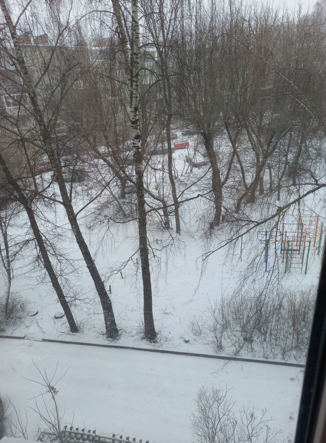 А из нашего окна