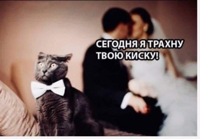 А сейчас я вам покажу, откуда...