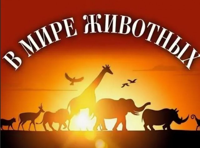 Пандемия съехавших крыш - разновидности болезни. Россия и мир. Часть 37