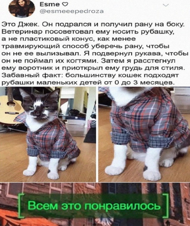 Картинки и мемы для настроения - 27