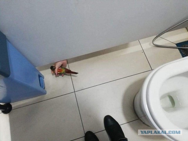 Чуток картNнок в понедельник