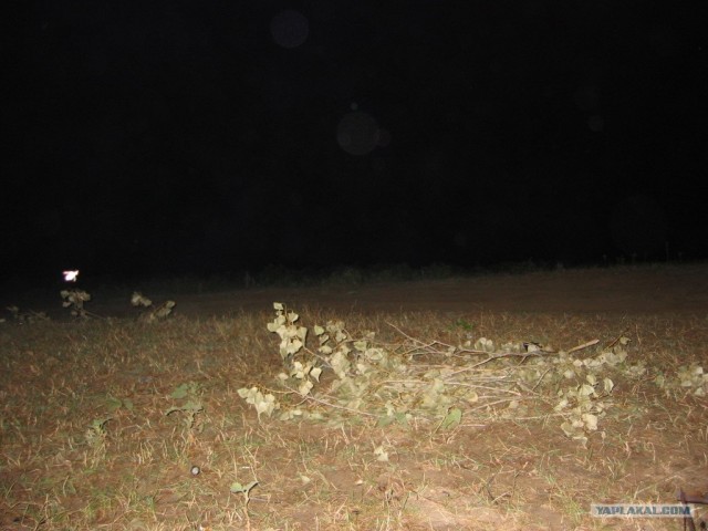 Хороший отдых