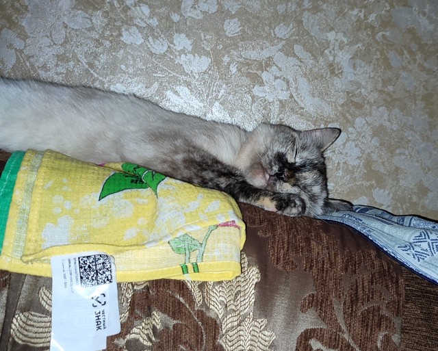 Моя прелесть