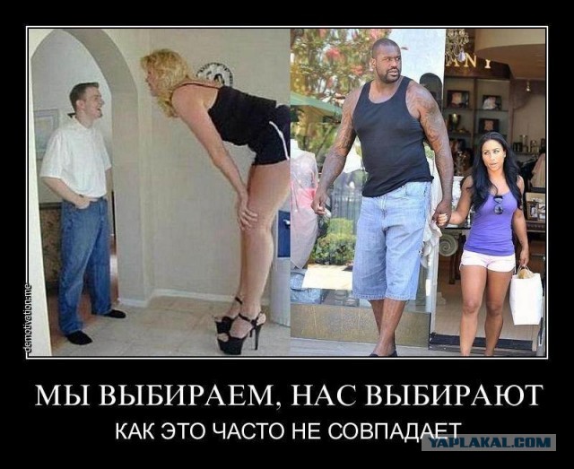 30 Пикчев из старых запасов