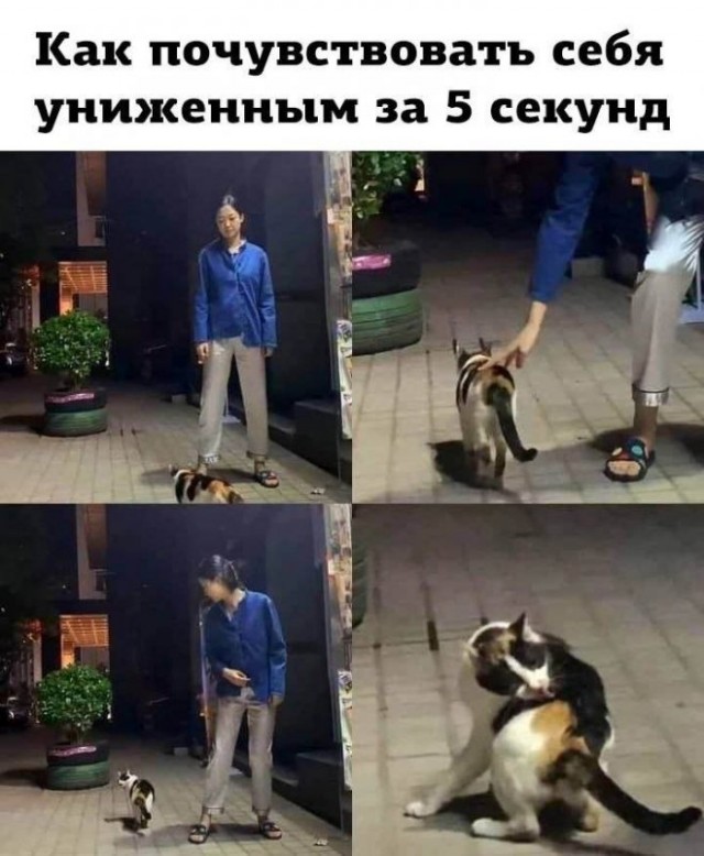 Немного картинок для настроения - 112