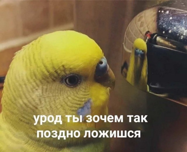 Прикольные и просто красивые картинки 18.11.2022