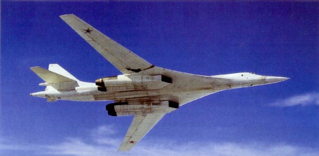 Какие виды птиц летают выше всех