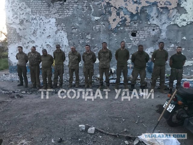Школе в Печенге присвоили имя Героя спецоперации