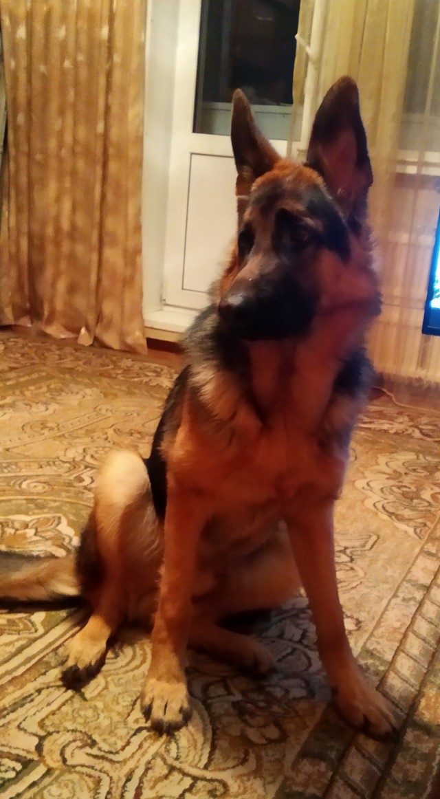 Мы пропустили