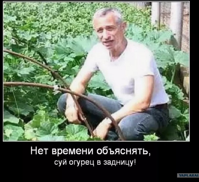 Огурцы дороже мяса