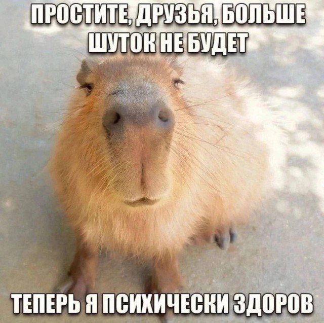 Нуштош 16.02.2023
