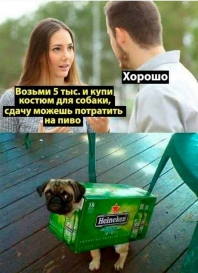 Сами попросили