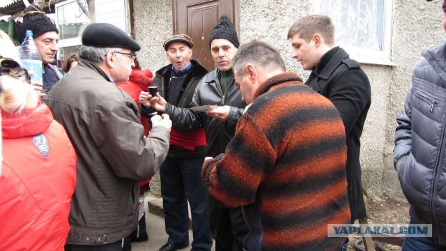 Крым в феврале или "Не стреляйте в белых лебедей!"