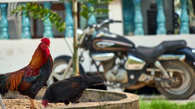 В России могут начать штрафовать за шумные авто и мотоциклы — до 30 тысяч рублей