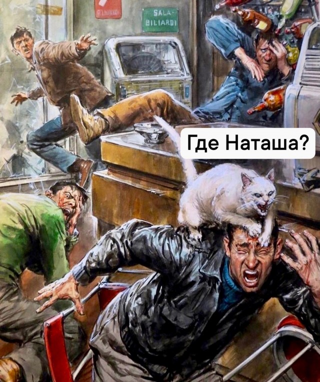 Дерзкий кот у ветеринара